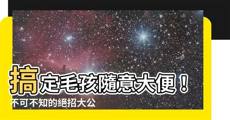 防止狗大便|門口狗便煩惱？一招搞定